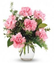 6 Pink Carnations Vase