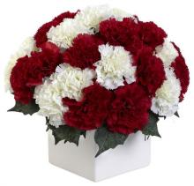 Red and White  Carnations