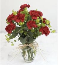 10 Red Carnations in a Vase