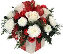 Wishes for Christmas